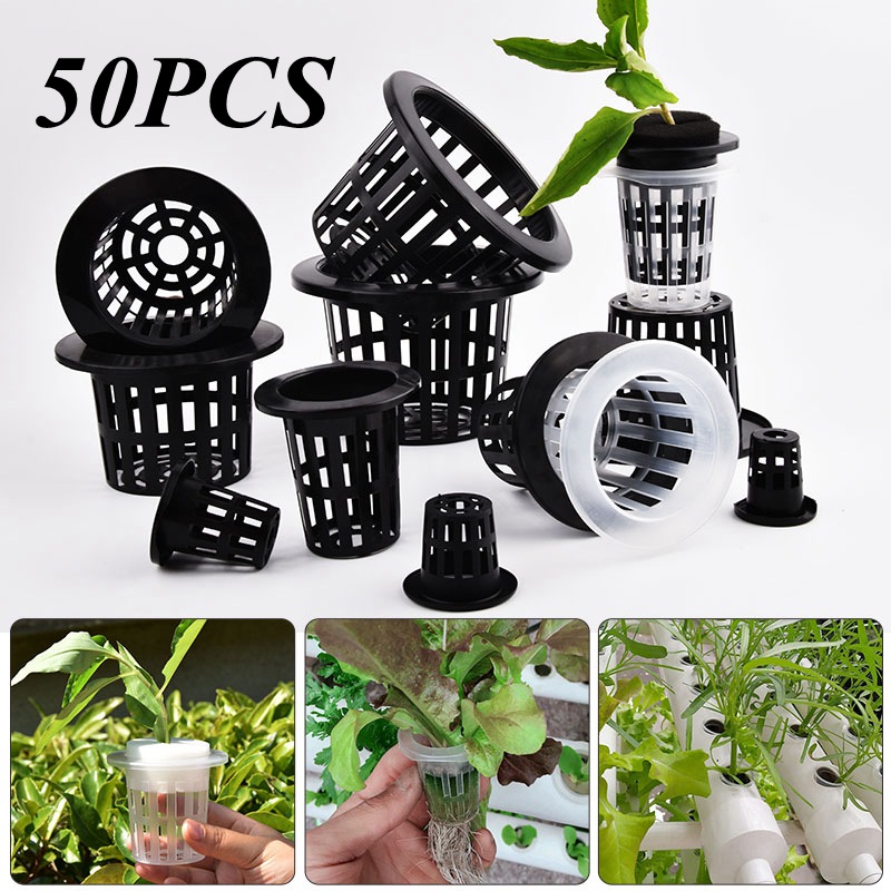 Aloe Vera Pot - 50Pcs Black White Soilless Mesh Plant