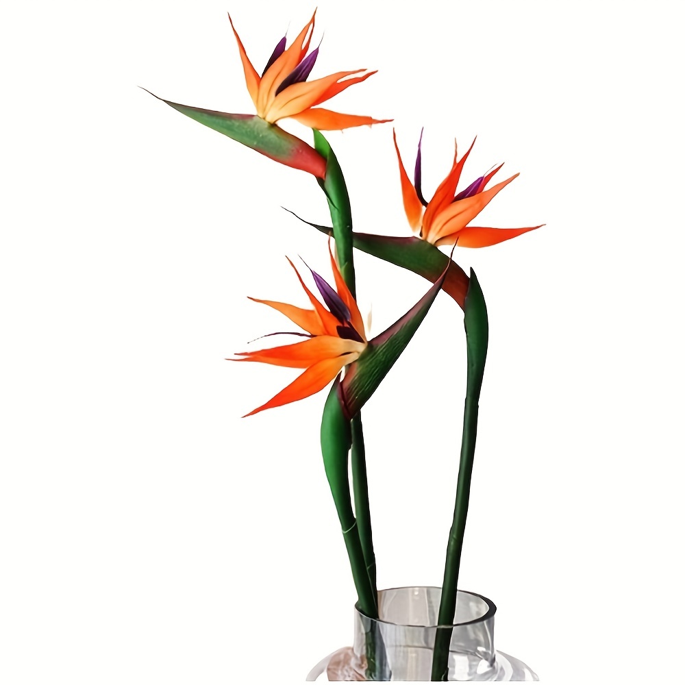3pcs Artificial Bird Of Paradi - Bird Paradise Strelitzia 评论和价格