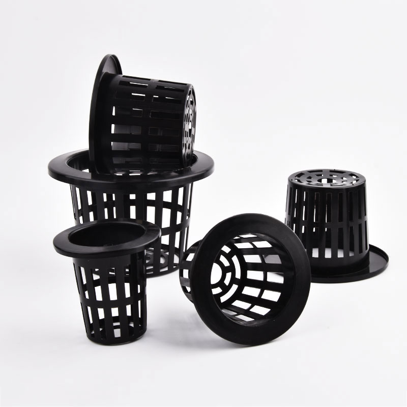 50Pcs Black White Soilless Mes - Aloe Vera Pot 评论和价格