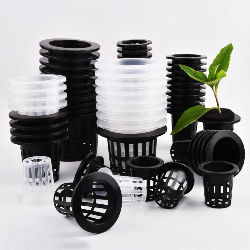50Pcs Black White Soilless Mes - Aloe Vera Pot 评论和价格